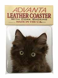 Fluffy Brown Kittens Face Single Leather Photo Coaster