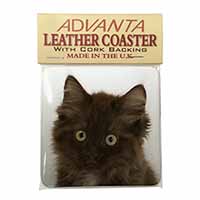 Fluffy Brown Kittens Face Single Leather Photo Coaster