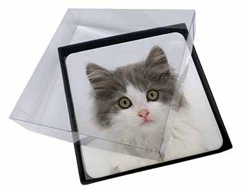 4x Grey, White Kittens Face Picture Table Coasters Set in Gift Box