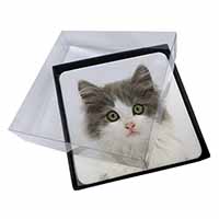 4x Grey, White Kittens Face Picture Table Coasters Set in Gift Box