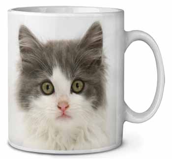 Grey, White Kittens Face Ceramic 10oz Coffee Mug/Tea Cup