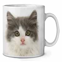 Grey, White Kittens Face Ceramic 10oz Coffee Mug/Tea Cup