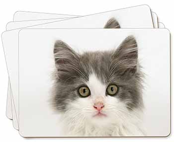 Grey, White Kittens Face Picture Placemats in Gift Box