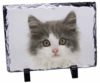 Grey, White Kittens Face, Stunning Photo Slate