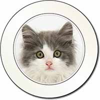 Grey, White Kittens Face Car or Van Permit Holder/Tax Disc Holder