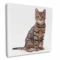 Brown Tabby Cat Square Canvas 12"x12" Wall Art Picture Print