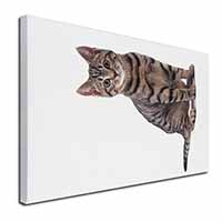 Brown Tabby Cat Canvas X-Large 30"x20" Wall Art Print