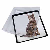 4x Brown Tabby Cat Picture Table Coasters Set in Gift Box