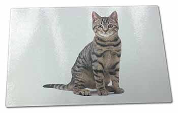 Large Glass Cutting Chopping Board Brown Tabby Cat