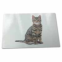 Large Glass Cutting Chopping Board Brown Tabby Cat