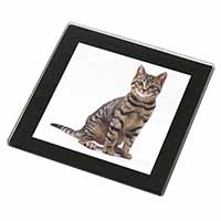 Brown Tabby Cat Black Rim High Quality Glass Coaster