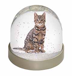 Brown Tabby Cat Snow Globe Photo Waterball