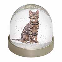 Brown Tabby Cat Snow Globe Photo Waterball