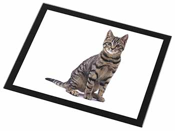 Brown Tabby Cat Black Rim High Quality Glass Placemat