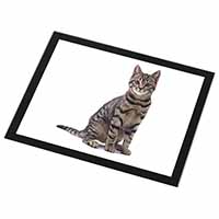 Brown Tabby Cat Black Rim High Quality Glass Placemat