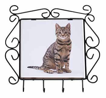 Brown Tabby Cat Wrought Iron Key Holder Hooks