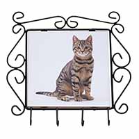 Brown Tabby Cat Wrought Iron Key Holder Hooks