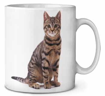 Brown Tabby Cat Ceramic 10oz Coffee Mug/Tea Cup