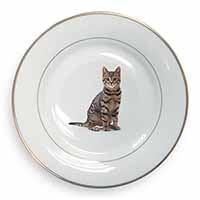 Brown Tabby Cat Gold Rim Plate Printed Full Colour in Gift Box