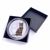 Brown Tabby Cat Glass Paperweight in Gift Box
