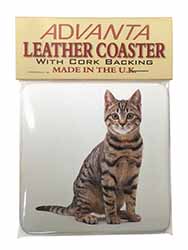 Brown Tabby Cat Single Leather Photo Coaster
