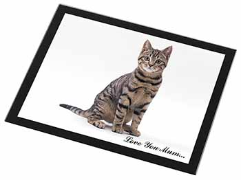 Brown Tabby Cat 