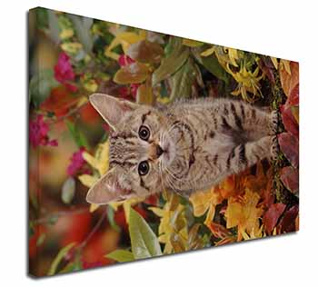 Tabby Kitten in Foilage Canvas X-Large 30"x20" Wall Art Print