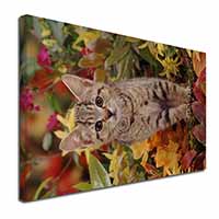 Tabby Kitten in Foilage Canvas X-Large 30"x20" Wall Art Print