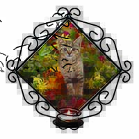 Tabby Kitten in Foilage Wrought Iron Wall Art Candle Holder