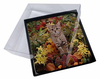 4x Tabby Kitten in Foilage Picture Table Coasters Set in Gift Box