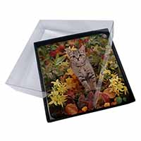 4x Tabby Kitten in Foilage Picture Table Coasters Set in Gift Box