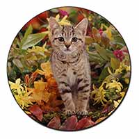 Tabby Kitten in Foilage Fridge Magnet Printed Full Colour