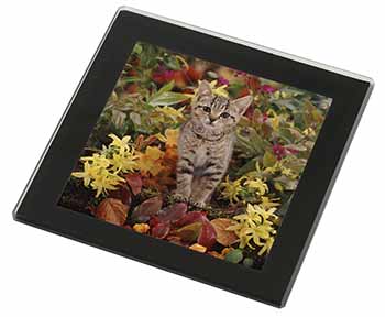 Tabby Kitten in Foilage Black Rim High Quality Glass Coaster