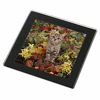 Tabby Kitten in Foilage Black Rim High Quality Glass Coaster