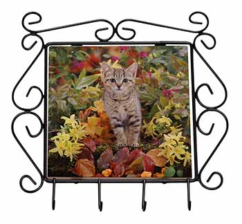 Tabby Kitten in Foilage Wrought Iron Key Holder Hooks