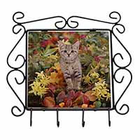 Tabby Kitten in Foilage Wrought Iron Key Holder Hooks