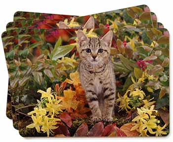 Tabby Kitten in Foilage Picture Placemats in Gift Box