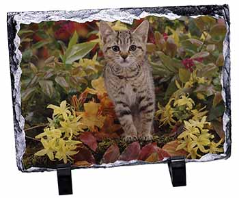 Tabby Kitten in Foilage, Stunning Photo Slate