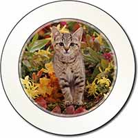 Tabby Kitten in Foilage Car or Van Permit Holder/Tax Disc Holder