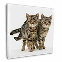 Brown Tabby Cats Square Canvas 12"x12" Wall Art Picture Print