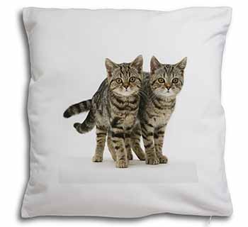 Brown Tabby Cats Soft White Velvet Feel Scatter Cushion