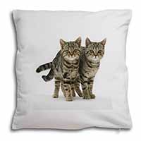 Brown Tabby Cats Soft White Velvet Feel Scatter Cushion