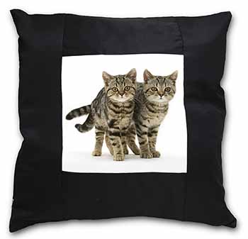 Brown Tabby Cats Black Satin Feel Scatter Cushion