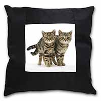 Brown Tabby Cats Black Satin Feel Scatter Cushion