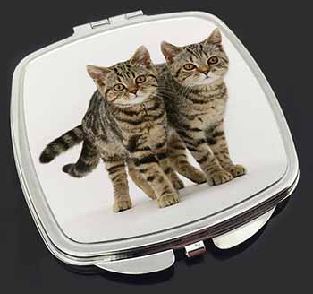 Brown Tabby Cats Make-Up Compact Mirror