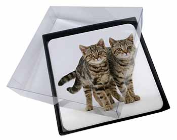 4x Brown Tabby Cats Picture Table Coasters Set in Gift Box