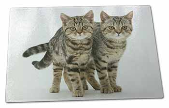 Large Glass Cutting Chopping Board Brown Tabby Cats