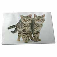 Large Glass Cutting Chopping Board Brown Tabby Cats