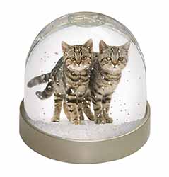 Brown Tabby Cats Snow Globe Photo Waterball