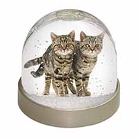 Brown Tabby Cats Snow Globe Photo Waterball